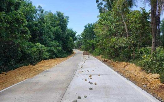 📢Newly Opened Mango and Dragon Fruit Farm Lots For Sale in Guimaras, Philippines