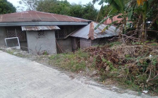 Fixer Upper Corner House and Lot For Sale in Guimbal, Iloilo